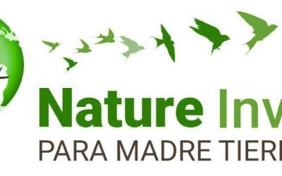 Jahres Vorschau 2022 mit Nature Invest – 01.01.2022