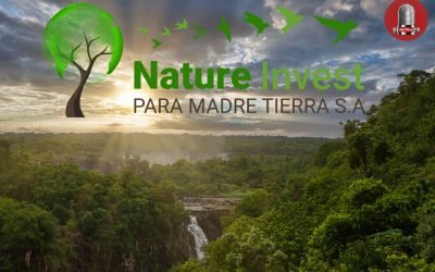 OKiTALK.news – Benedikt Michale Nature Invest – im Gespräch mit Henning Botschafter der physisch lebendigen Erde – Ideen – Lösungen – Fragen – Antworten – 08.12.2022 –